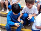 DSC01602.JPG